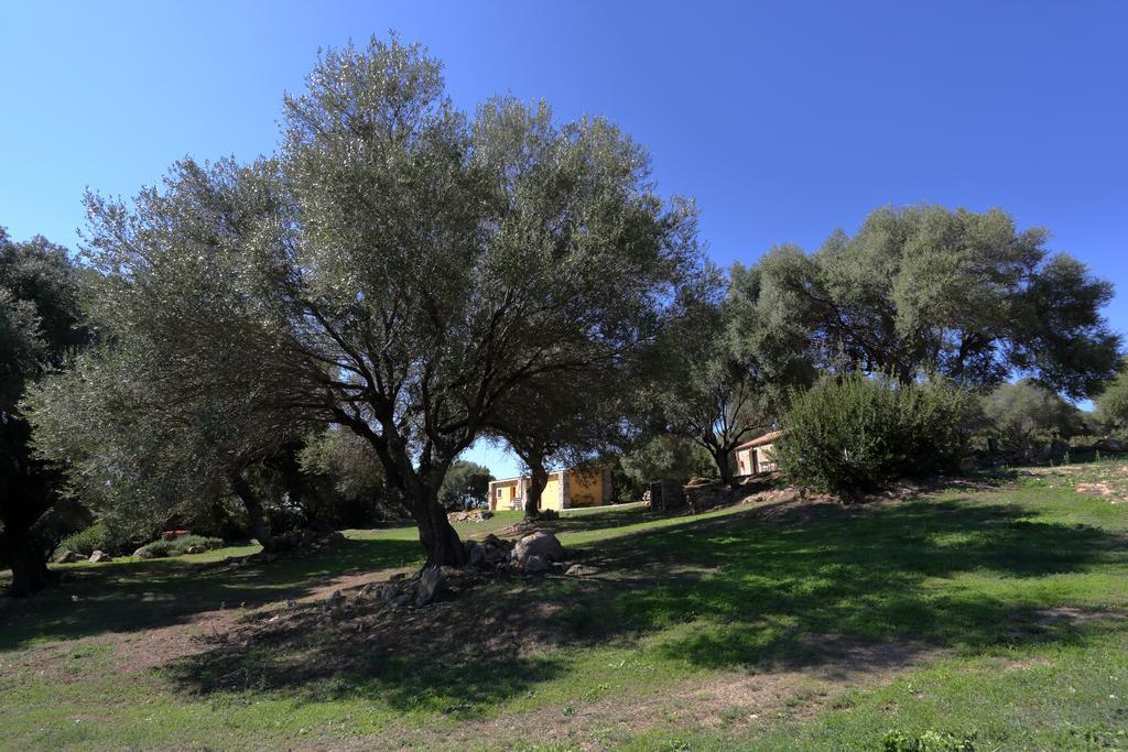 Liscia Country Relais Guest House Sant'Antonio di Gallura Bagian luar foto