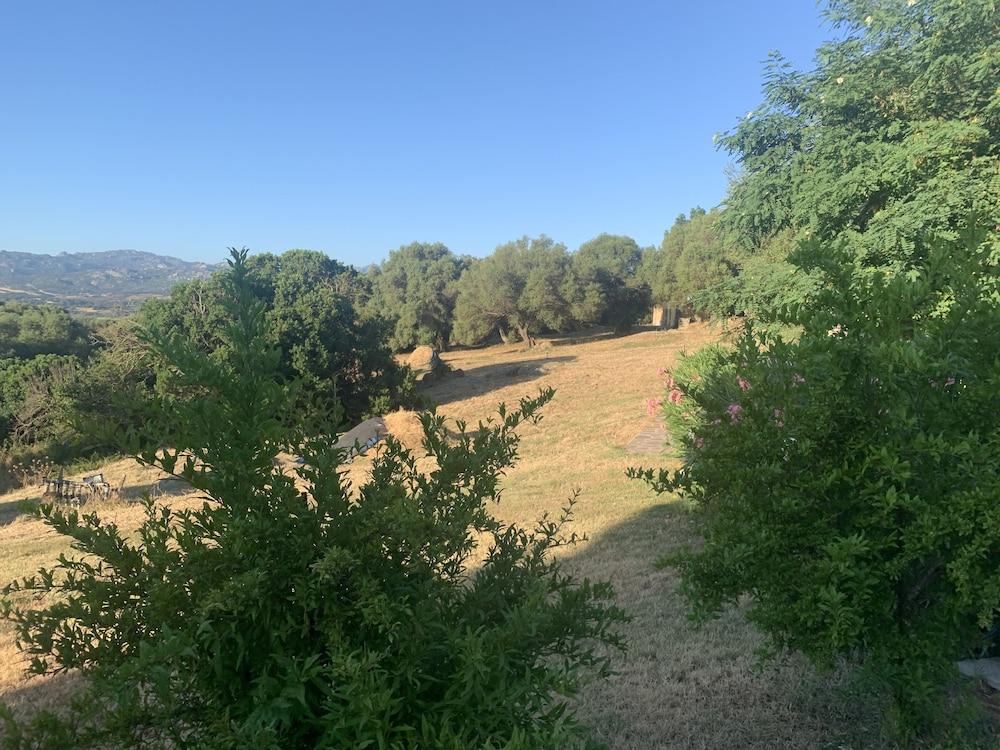 Liscia Country Relais Guest House Sant'Antonio di Gallura Bagian luar foto
