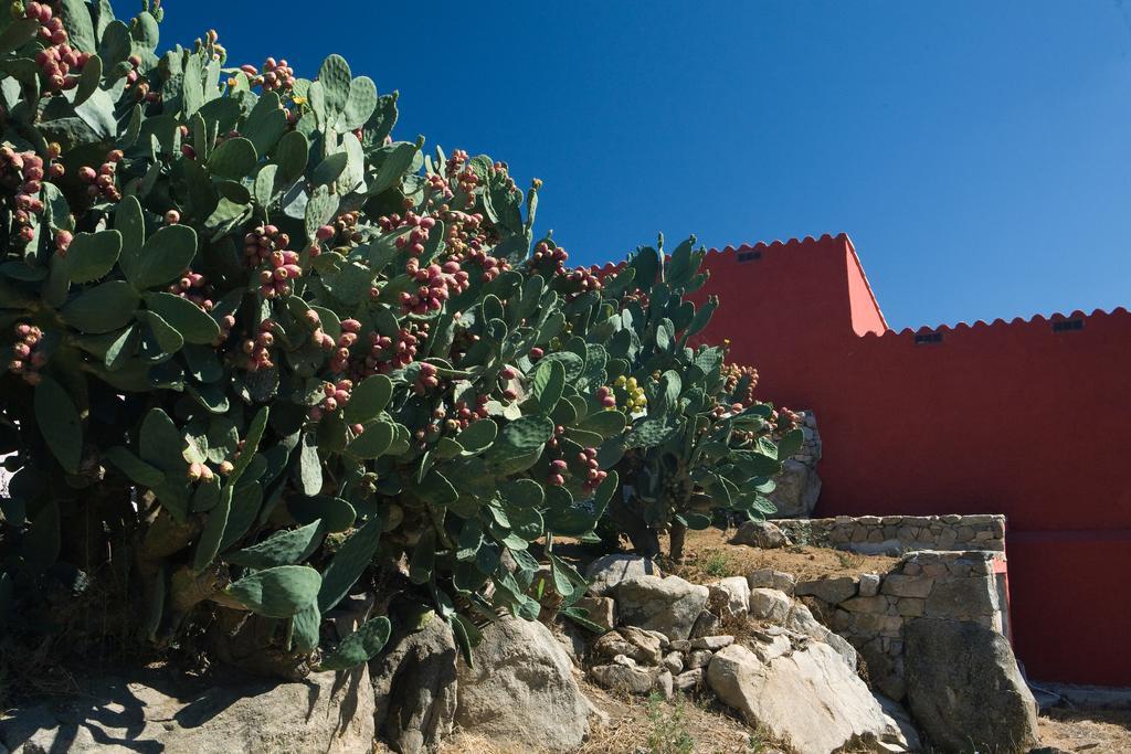 Liscia Country Relais Guest House Sant'Antonio di Gallura Bagian luar foto