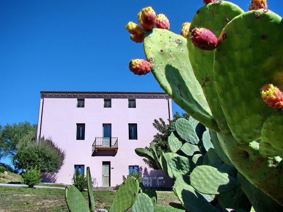 Liscia Country Relais Guest House Sant'Antonio di Gallura Bagian luar foto