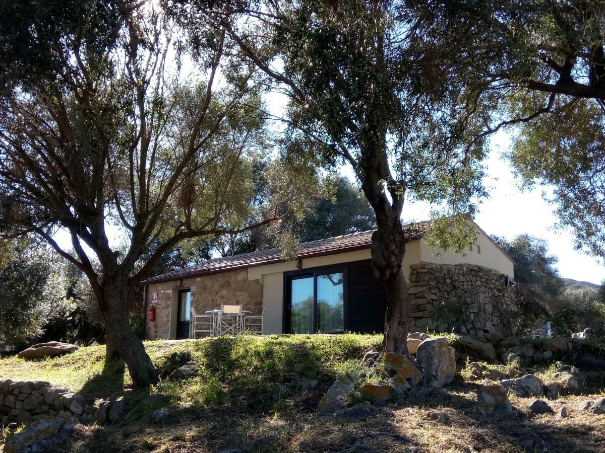 Liscia Country Relais Guest House Sant'Antonio di Gallura Bagian luar foto